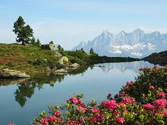 Alpine dreams Austrian Alps view to Dachstein