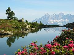 Austrian Alps  view to Dachstein 