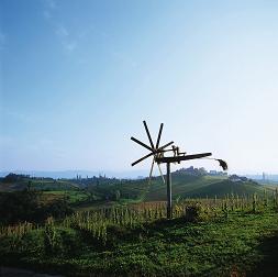 Austria Vineyards