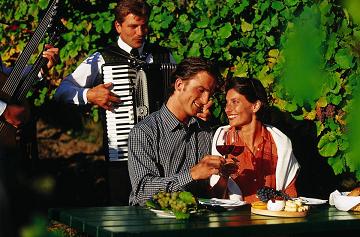 Vienna Heurige Country Wine Bar Vienna Heurige Country Wine Bar