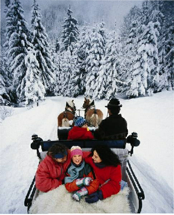 sleigh ride in Austria