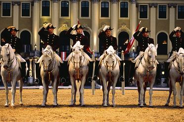 Lipizzaner performance 