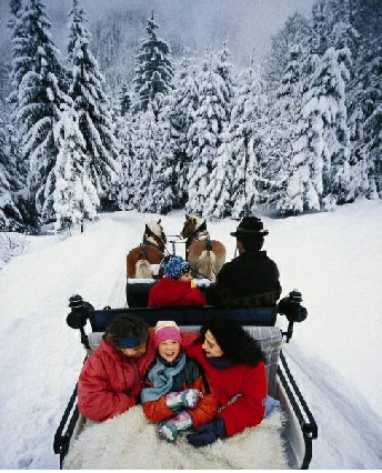 sleigh ride in Austria 