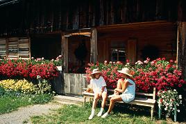 Rural Austria 